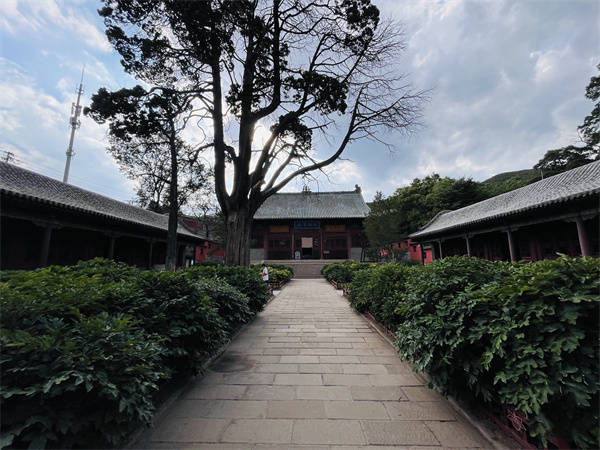 十方奉圣禅寺：赏古建风韵<strong></p>
<p>奉币</strong>，沐奉圣梵音