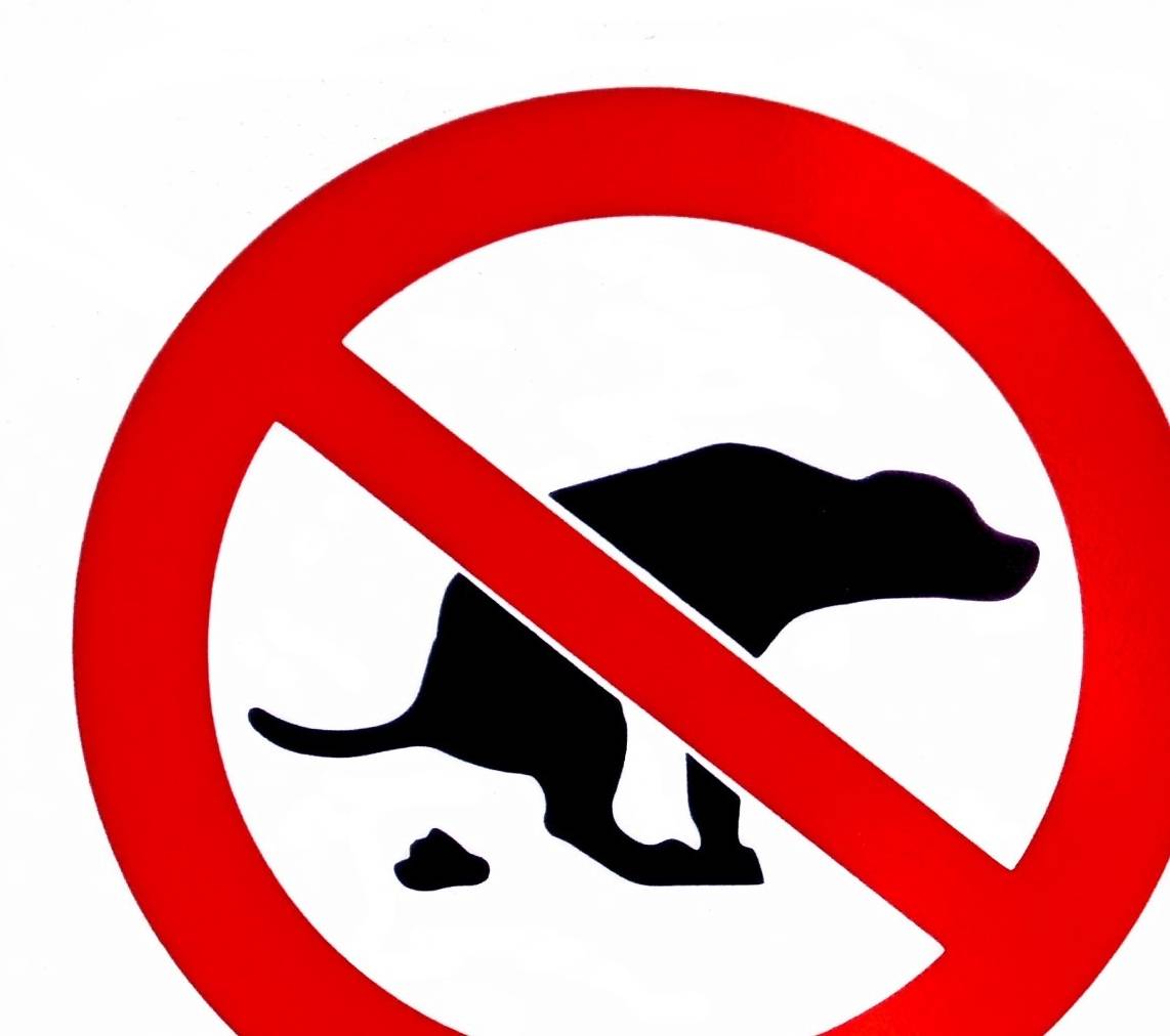 溜狗不捡屎<strong></p>
<p>屎币</strong>，请你把屎当场吃掉