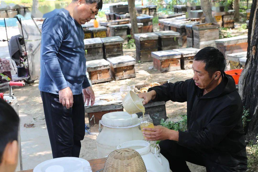 【人文纪实】津门网李克君：追花而驻养蜂人