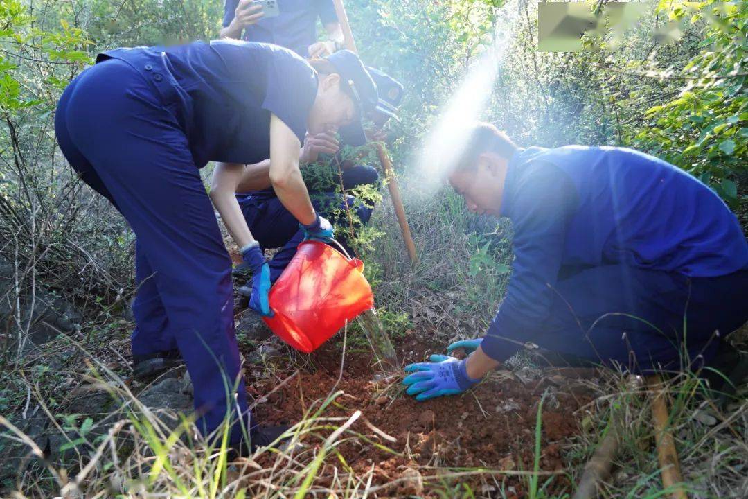 开展“绿美文山先锋行”义务植树活动