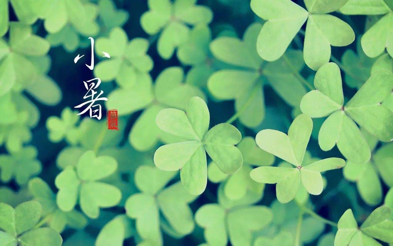 发行有变<strong></p>
<p>法币充值</strong>，热门新币或月末预约，书法币多人被坑