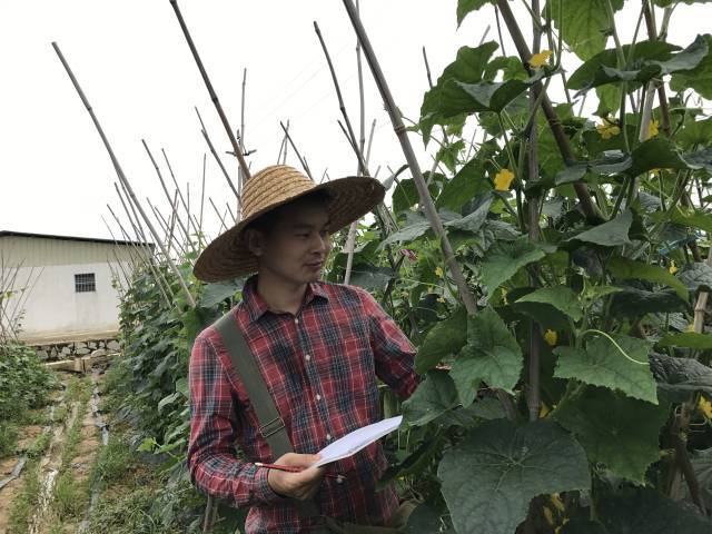 优秀<strong></p>
<p>原油交易中心</strong>！第二十五届广东青年五四奖章获奖名单揭晓