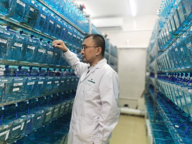 优秀<strong></p>
<p>原油交易中心</strong>！第二十五届广东青年五四奖章获奖名单揭晓