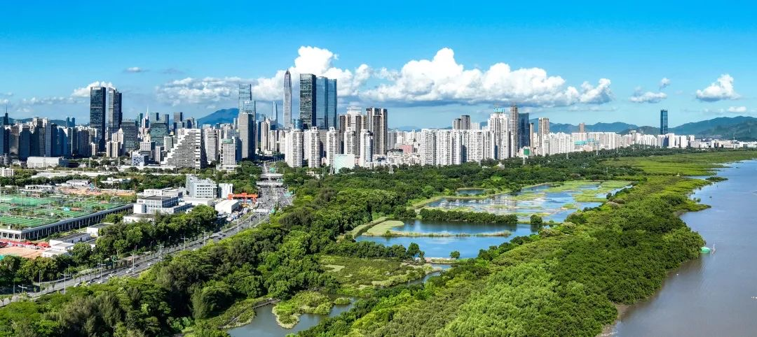 2023年深圳GDP增长6.0%<strong></p>
<p>深圳GDP</strong>！增速继续领跑四大一线城市