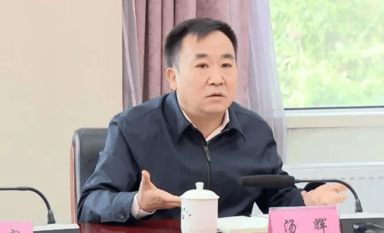 汤辉<strong></p>
<p>报价货币</strong>，严重违反政治纪律、组织纪律、廉洁纪律和生活纪律