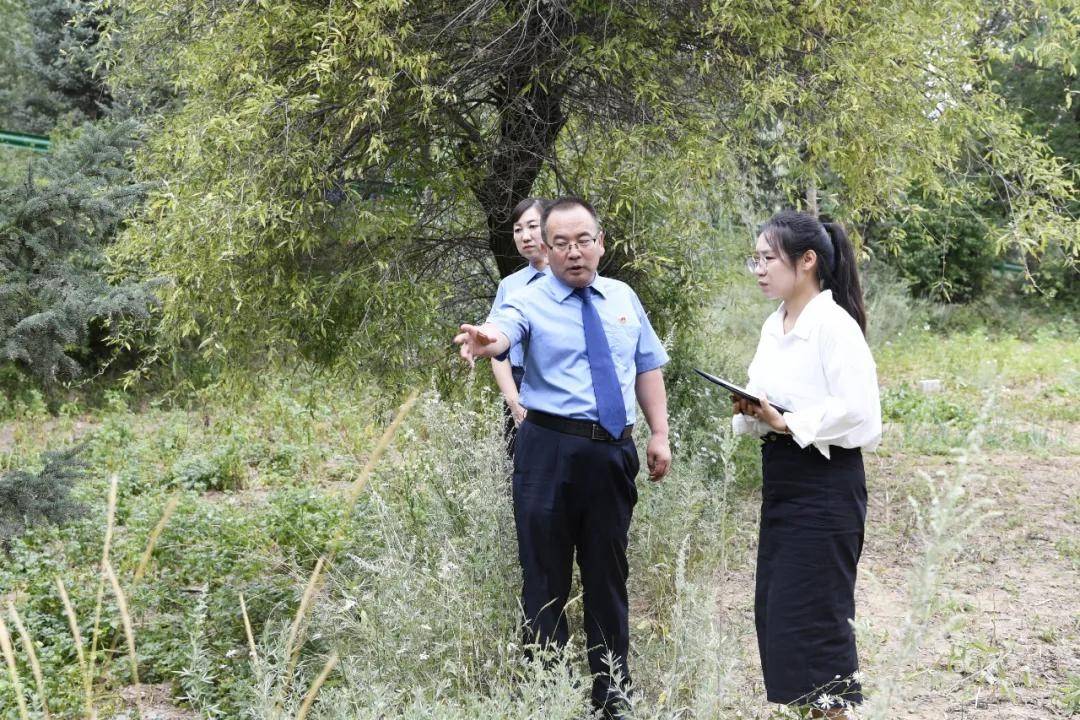 还有8天刑满释放<strong></p>
<p>找币网交易</strong>，十年有期徒刑变为死缓，最高检抗诉的甘肃马某林案获改判