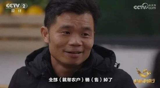2024年末央视再度专访钟睒睒<strong></p>
<p>多货币策略</strong>，背后有何深意？