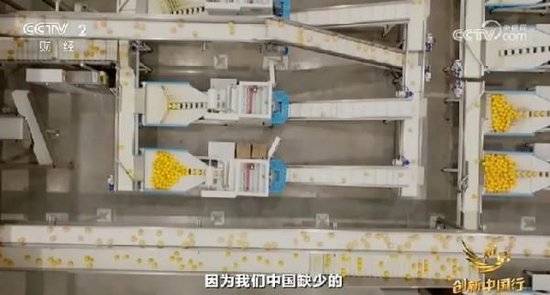 2024年末央视再度专访钟睒睒<strong></p>
<p>多货币策略</strong>，背后有何深意？
