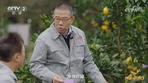 2024年末央视再度专访钟睒睒<strong></p>
<p>多货币策略</strong>，背后有何深意？