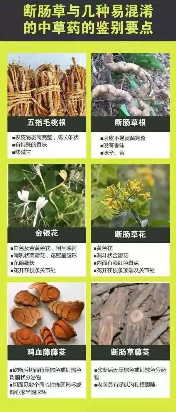 广东一老人买药材煲汤中毒身亡 当地：店铺误售断肠草<strong></p>
<p>v币网</strong>，老板被拘留