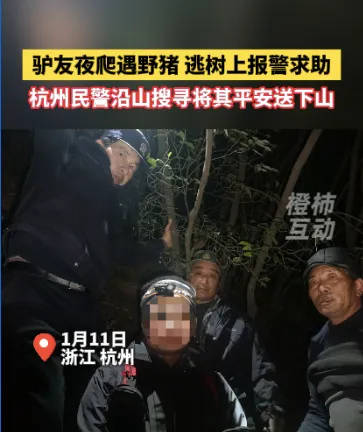 “我现在在树上<strong></p>
<p>货币交易源码</strong>，野猪在下面……”杭州一男子深夜报警！
