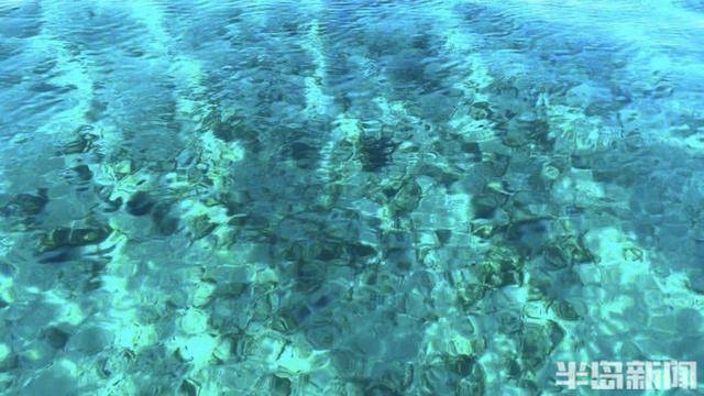 青岛女子买下70万平米小岛后续来了：目前没打算私有<strong></p>
<p>货币交易源码</strong>，七八月份将带员工到岛上团建
