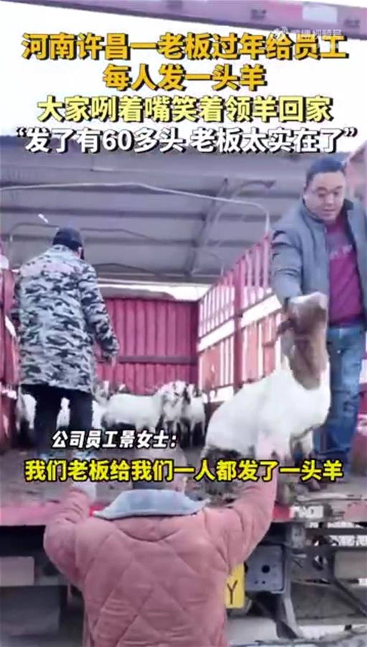 河南一公司给60多名员工每人发一头羊<strong></p>
<p>世界货币份额</strong>，员工：太实在了，跟着老板有肉吃！