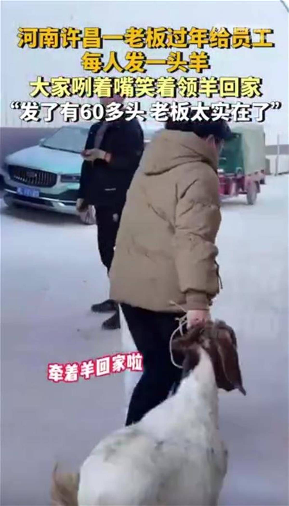 河南一公司给60多名员工每人发一头羊<strong></p>
<p>世界货币份额</strong>，员工：太实在了，跟着老板有肉吃！
