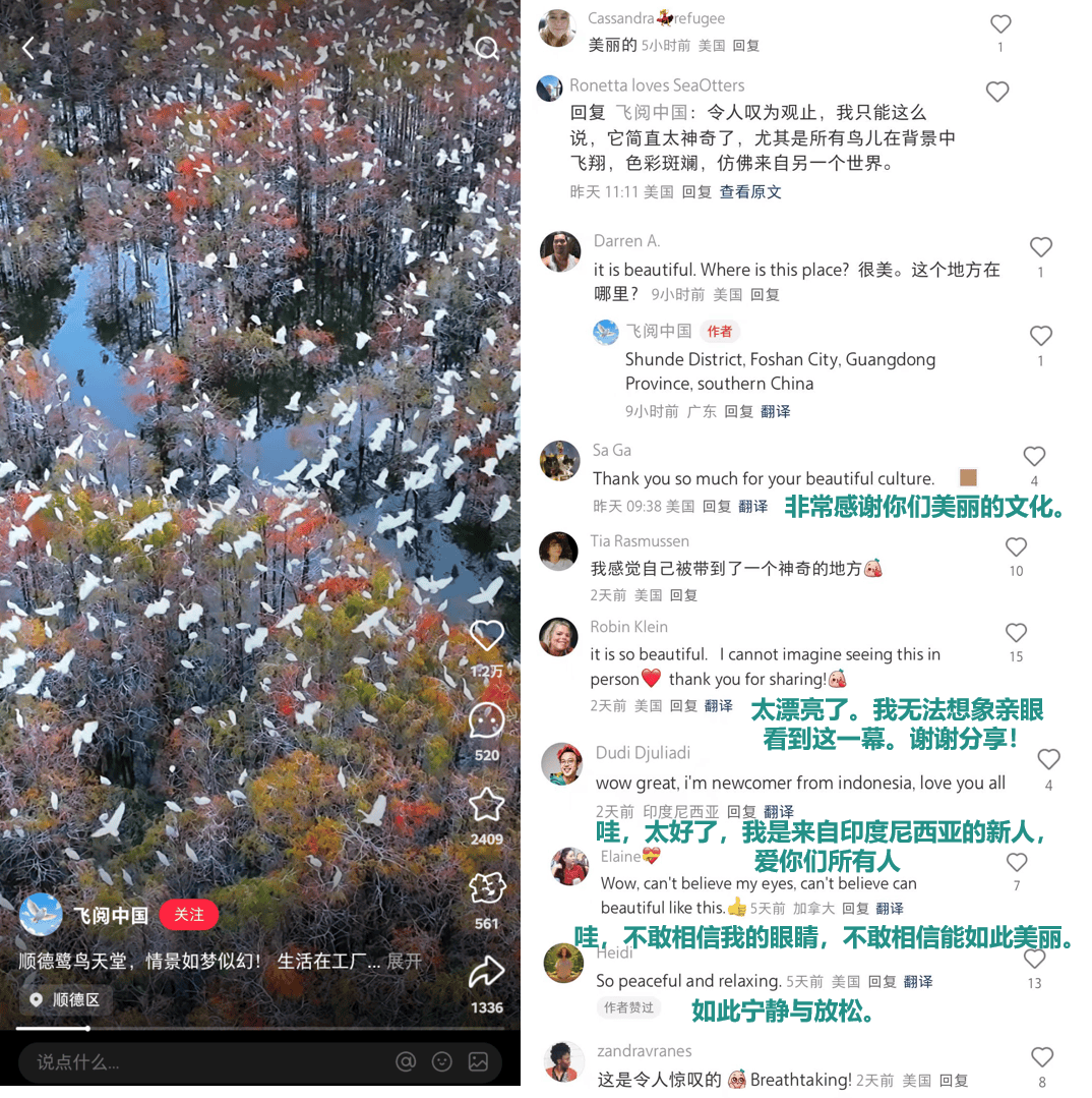 小红书上的外国网友<strong></p>
<p>世界货币份额</strong>，都在点赞佛山什么？