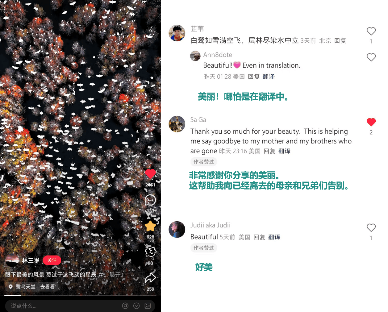 小红书上的外国网友<strong></p>
<p>世界货币份额</strong>，都在点赞佛山什么？