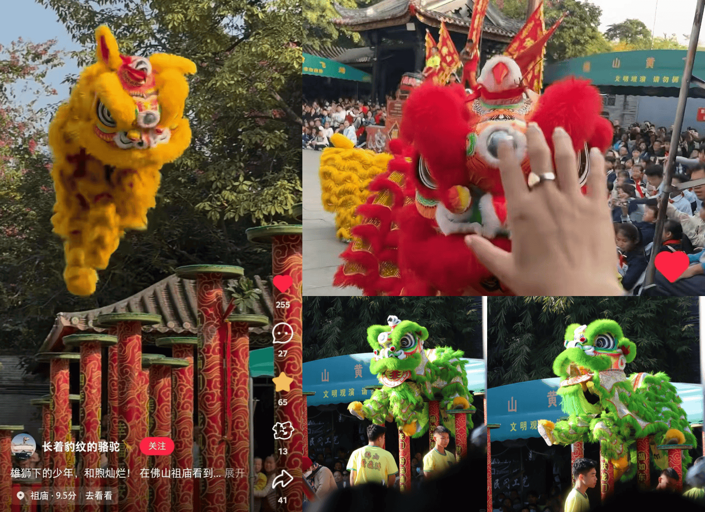 小红书上的外国网友<strong></p>
<p>世界货币份额</strong>，都在点赞佛山什么？