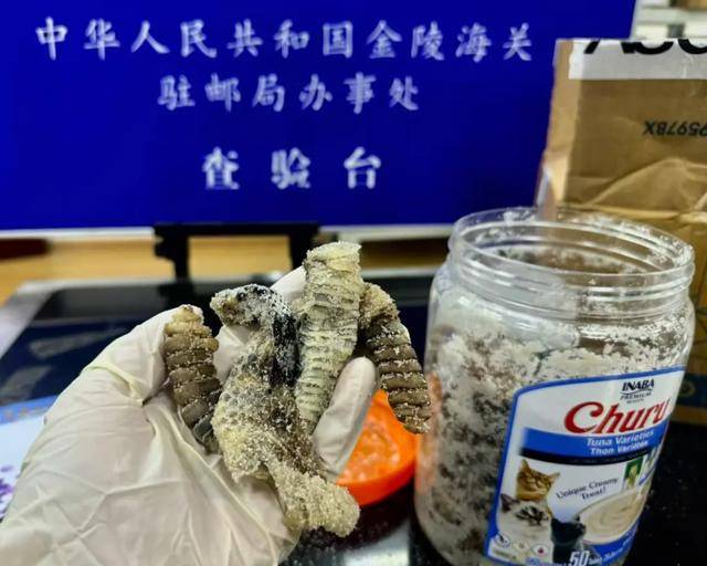 离谱！2.4斤生腌响尾蛇<strong></p>
<p>货币兑换软件</strong>，被藏在零食罐里……