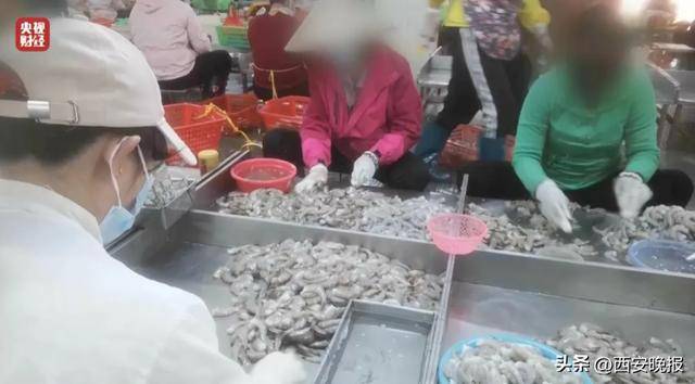 与辉同行或赔2000万<strong></p>
<p>铜期货</strong>，董宇辉曾称每个月检测费近百万