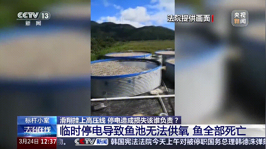 深圳女子被挂高压线！停电救援<strong></p>
<p>数字货币交易app</strong>，9池鱼死光！他怒上法庭……