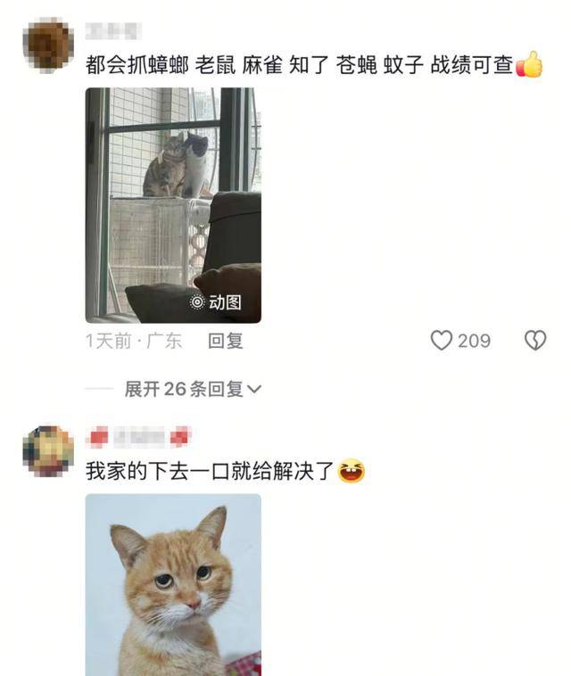 老鼠掉进泳池<strong></p>
<p>数字货币交易app</strong>，广东大叔出动鸡猫狗团队，结果全被老鼠吓跑！网友坐不住纷纷晒战绩