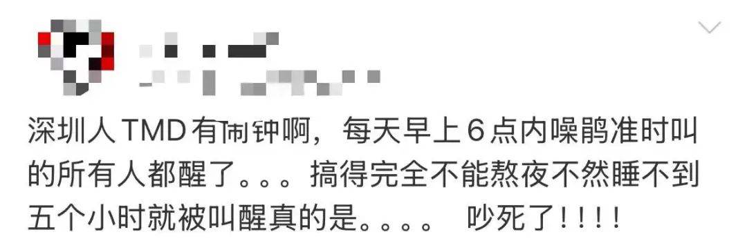“周末想睡个懒觉都不行”<strong></p>
<p>数字货币交易所投资</strong>，有多少深圳人被这种鸟吵到神经衰弱