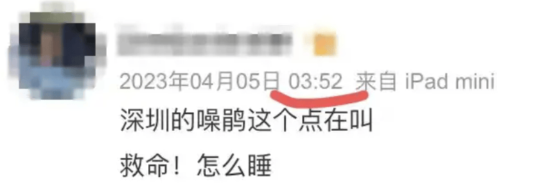 “周末想睡个懒觉都不行”<strong></p>
<p>数字货币交易所投资</strong>，有多少深圳人被这种鸟吵到神经衰弱
