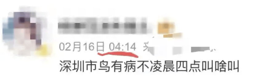 “周末想睡个懒觉都不行”<strong></p>
<p>数字货币交易所投资</strong>，有多少深圳人被这种鸟吵到神经衰弱