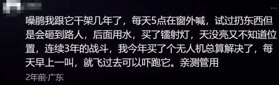 “周末想睡个懒觉都不行”<strong></p>
<p>数字货币交易所投资</strong>，有多少深圳人被这种鸟吵到神经衰弱