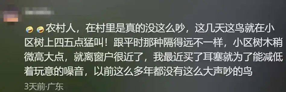 “周末想睡个懒觉都不行”<strong></p>
<p>数字货币交易所投资</strong>，有多少深圳人被这种鸟吵到神经衰弱