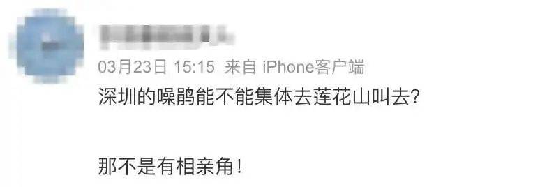 “周末想睡个懒觉都不行”<strong></p>
<p>数字货币交易所投资</strong>，有多少深圳人被这种鸟吵到神经衰弱
