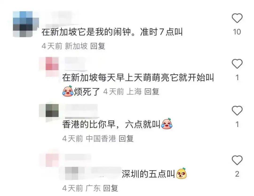 “周末想睡个懒觉都不行”<strong></p>
<p>数字货币交易所投资</strong>，有多少深圳人被这种鸟吵到神经衰弱