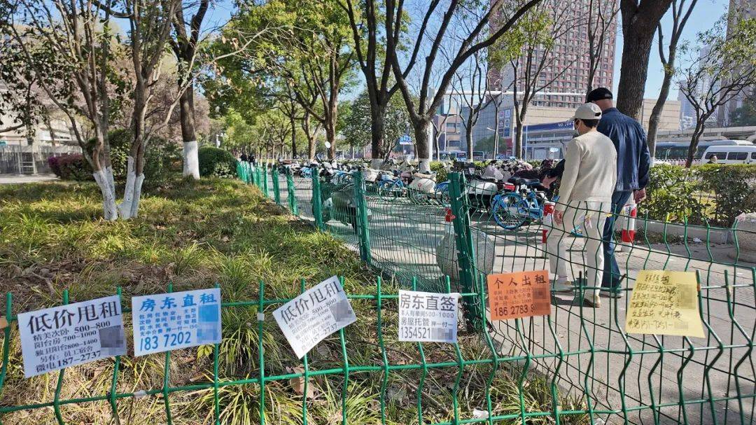 一二线城市房租普降<strong></p>
<p>数字货币平台</strong>，房东主动降200留我