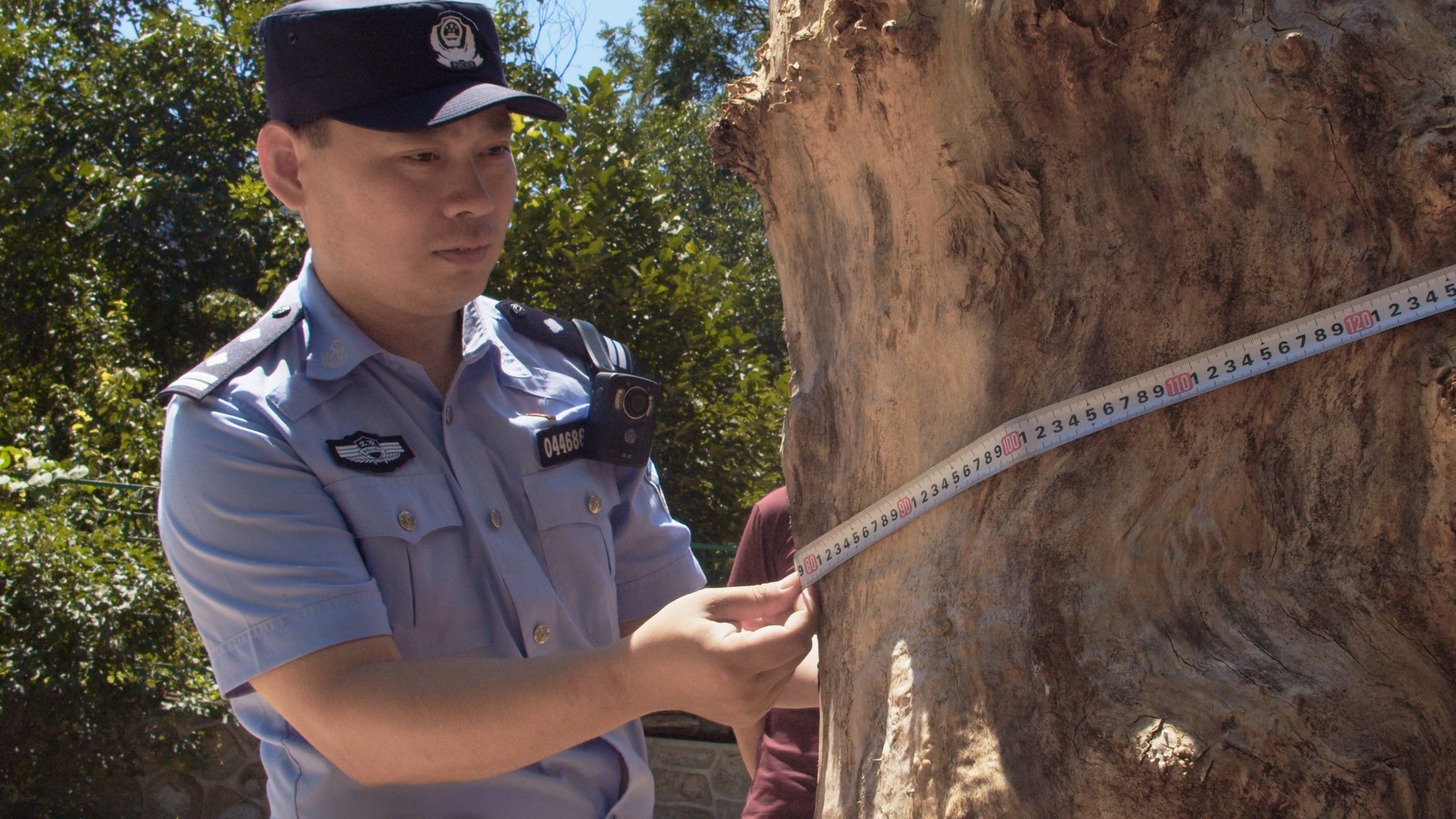 森林警察韩孟祺：乔装成驴友潜伏密林中<strong></p>
<p>数字货币网站</strong>，抓获“粘鸟”嫌疑人