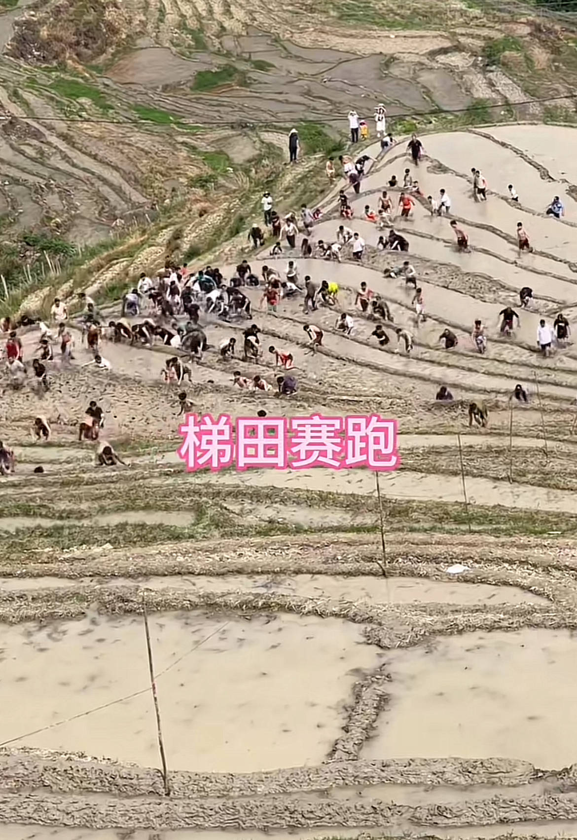 桂林一景区回应爬梯田比赛前两名半坡起跑作弊：游客赛前试爬后躺半坡<strong></p>
<p>数字货币价格</strong>，工作人员没发现
