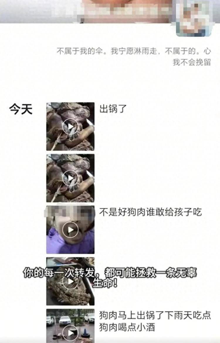 沈阳一店铺老板假借领养名义烹食流浪狗<strong></p>
<p>bitop交易所下载</strong>，警方：正在研讨处置