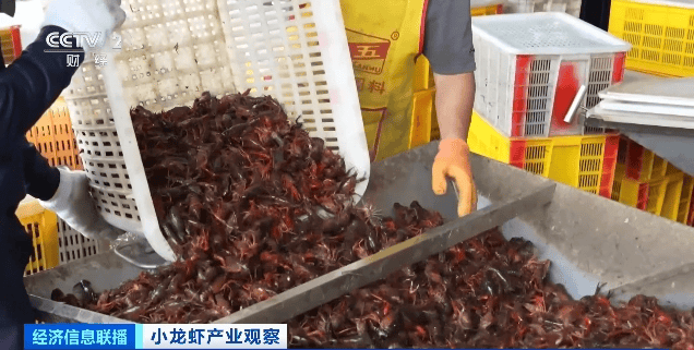 价格暴跌近50%<strong></p>
<p>bitop交易所官网</strong>！“接下来还会降”！青岛正大量上市……