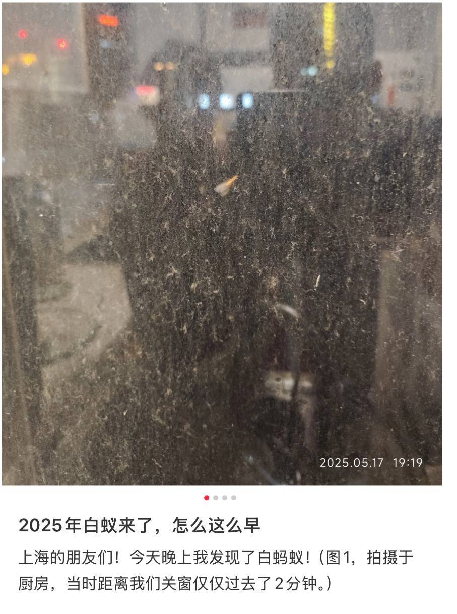 紧急提醒：瞬间爆发！上海市民崩溃：密密麻麻<strong></p>
<p>比特币交易</strong>，蠕蠕爬行...“梧桐区”已开始战斗，白蚁或提前分飞