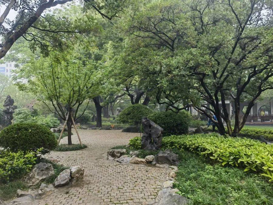 紧急提醒：瞬间爆发！上海市民崩溃：密密麻麻<strong></p>
<p>比特币交易</strong>，蠕蠕爬行...“梧桐区”已开始战斗，白蚁或提前分飞