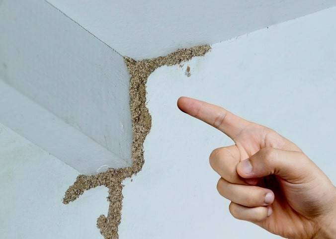 紧急提醒：瞬间爆发！上海市民崩溃：密密麻麻<strong></p>
<p>比特币交易</strong>，蠕蠕爬行...“梧桐区”已开始战斗，白蚁或提前分飞