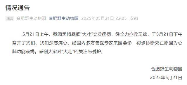 网红猴“大壮”突然离世<strong></p>
<p>比特币交易信息平台</strong>！曾因方脸“丑”出圈