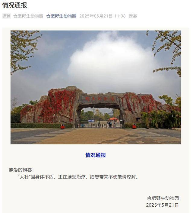 网红猴“大壮”突然离世<strong></p>
<p>比特币交易信息平台</strong>！曾因方脸“丑”出圈