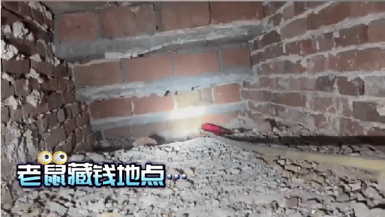 老人用红袜子包裹一万元现金藏在门框上<strong></p>
<p>比特币资讯网</strong>，一天后不翼而飞，警方破案：偷钱的是老鼠