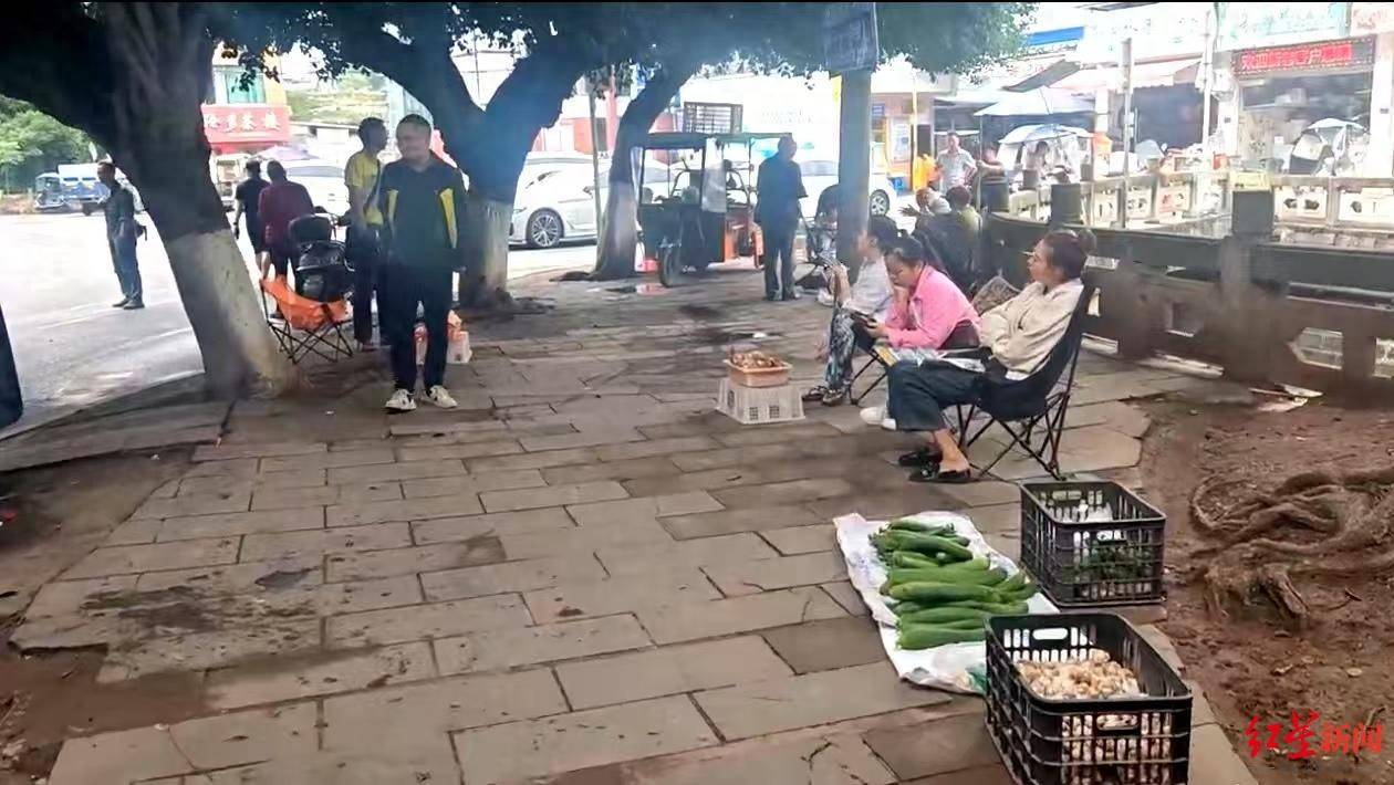 “天价”鸡枞调查：最贵卖到1800元/公斤！雨水少致产量低<strong></p>
<p>以太坊价格</strong>，多地价高客少