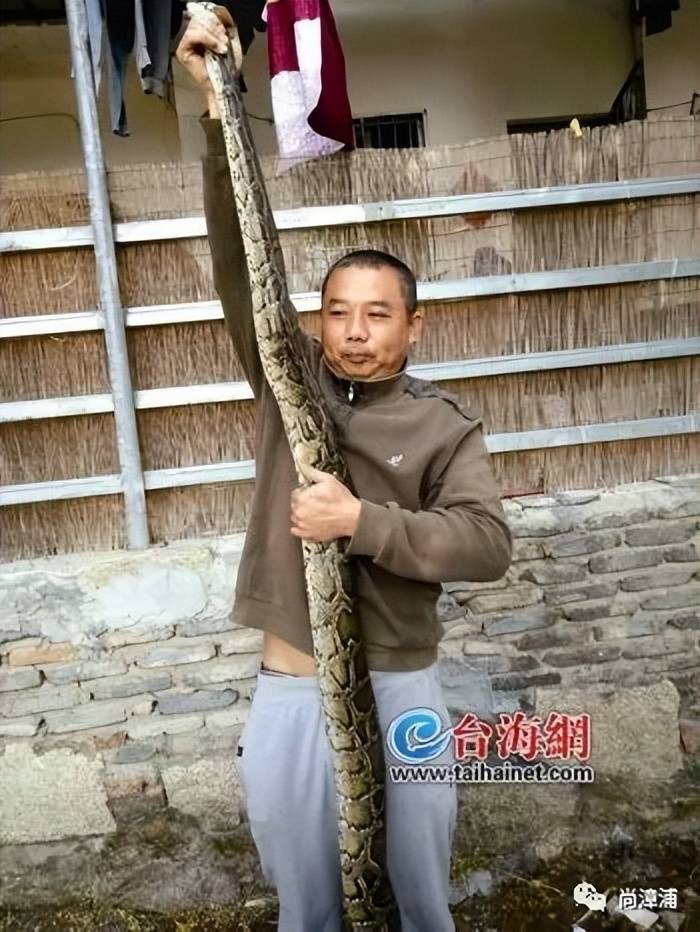 女游客疑被蛇咬伤身亡后<strong></p>
<p>以太坊价格今日行情</strong>，博主“啊宝”讲毒蛇1天涨粉190万