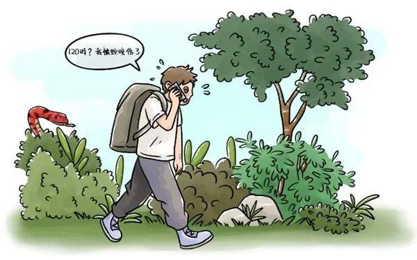 惊恐！毒蛇缠在自行车上<strong></p>
<p>USDa</strong>，深圳13岁男孩伸手被咬！近期超80人中招
