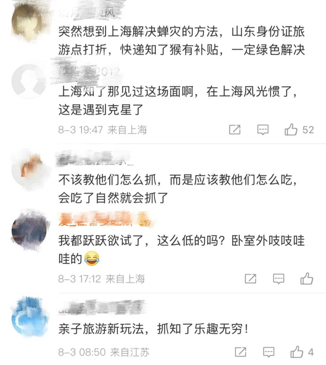 山东父子在上海抓知了降维打击<strong></p>
<p>以太坊交易</strong>，“孩子一分钟徒手抓了十几只”