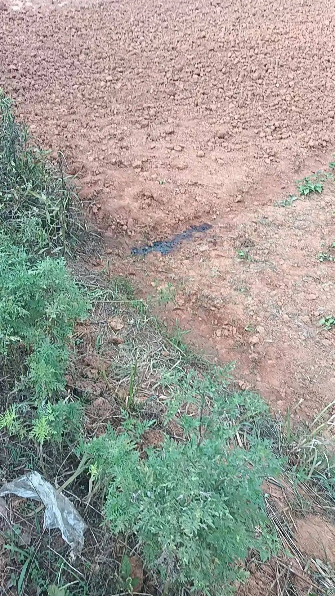 工人被误当猎物枪击身亡<strong></p>
<p>瑞波币交易</strong>，警方通报：屈某某、罗某某被刑拘
