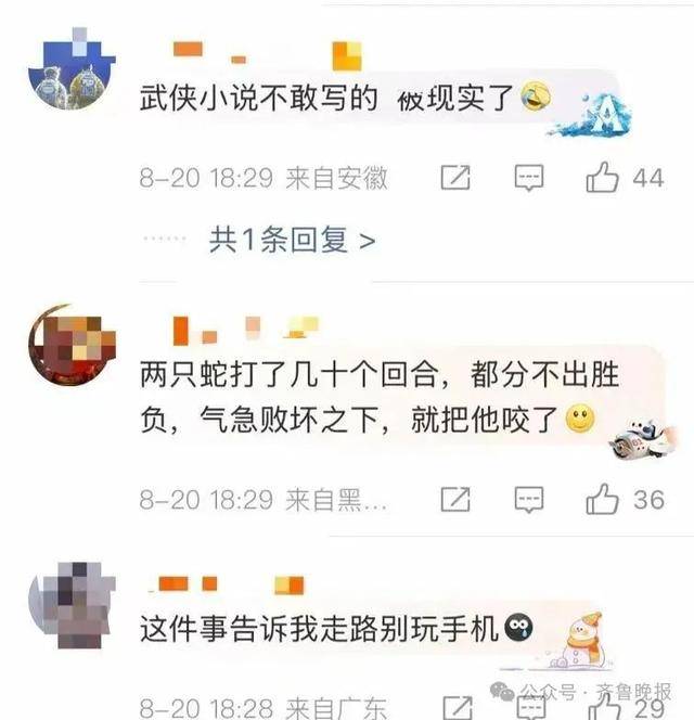 安徽宣城一男子走路玩手机<strong></p>
<p>ADA交易</strong>，一脚踩中打架的竹叶青和五步蛇，被俩毒蛇咬3口！医院：暂无生命危险，正在治疗
