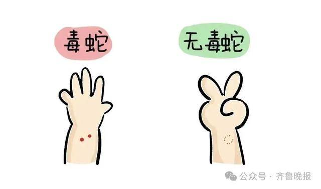 安徽宣城一男子走路玩手机<strong></p>
<p>ADA交易</strong>，一脚踩中打架的竹叶青和五步蛇，被俩毒蛇咬3口！医院：暂无生命危险，正在治疗
